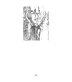 08_CObreja_IKARUS_08_11_2019_page-0100