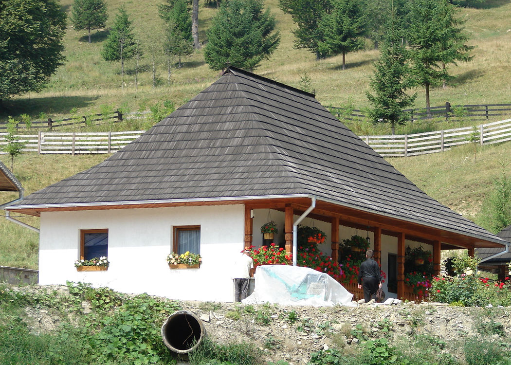 Top 50_2012_08_09_Man_Sihastria Putnei 0