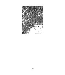 06_CObreja_Suflet de zece_08_11_2019_fin