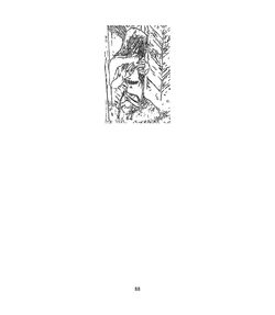 06_CObreja_Suflet de zece_08_11_2019_fin