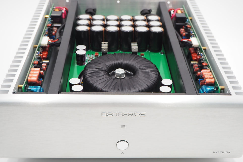 Thumbnail: Denafrips Hyperion Poweramp front view top removed