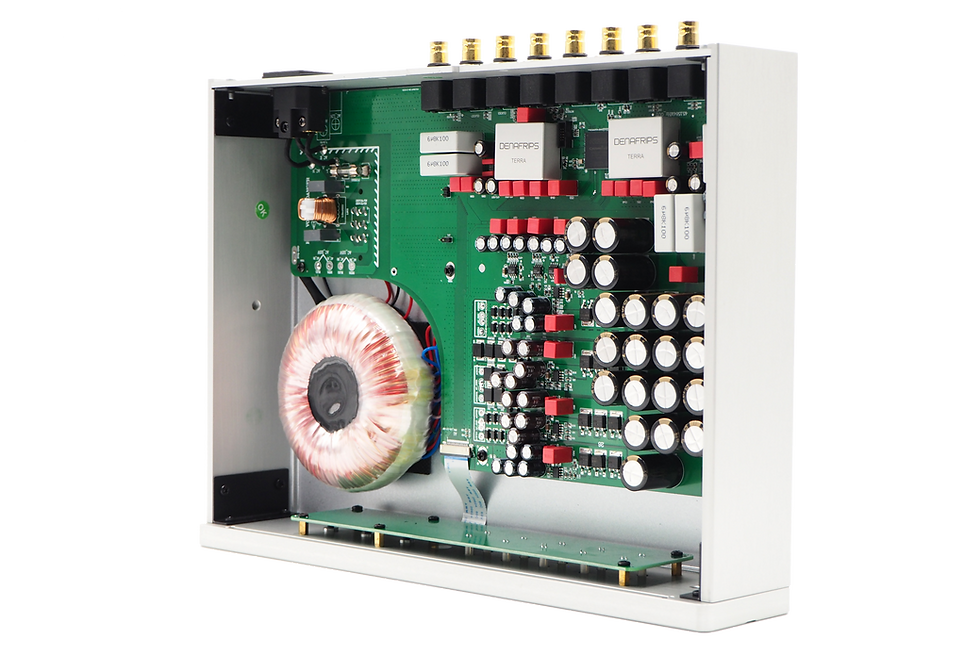 Thumbnail: Denafrips Terra silver top internal view