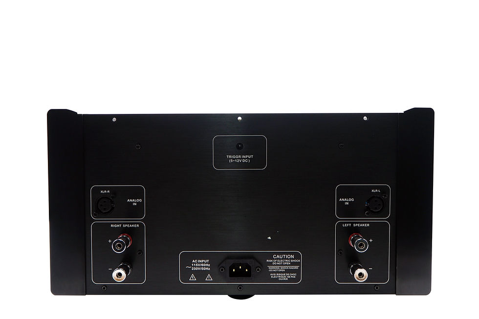 Thumbnail: Denafrips Apollo Poweramp black rear view