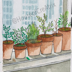 Rooted in the Sky: A Quiet Revolution in Clay Pots