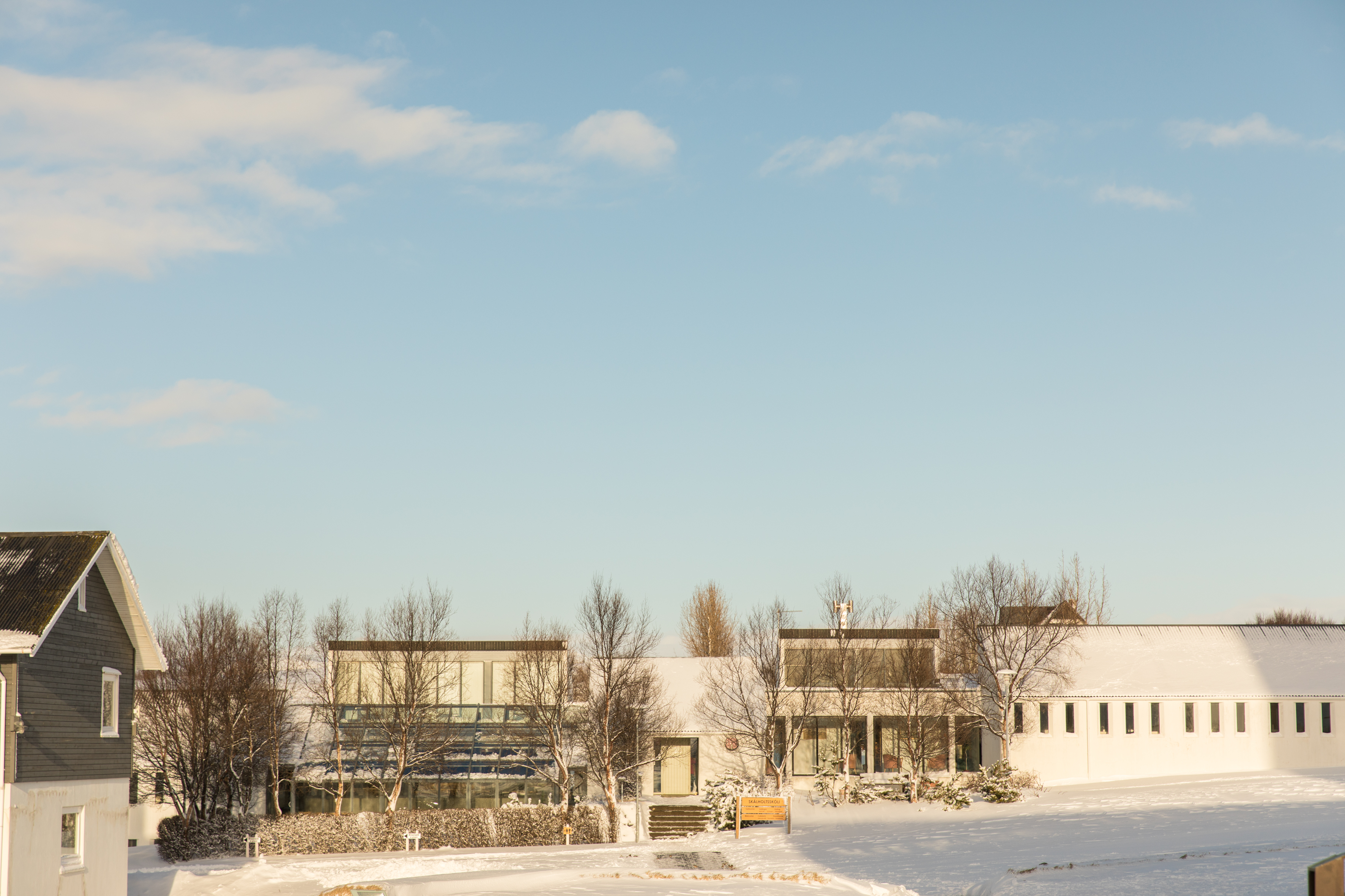 Skálholtsskóli