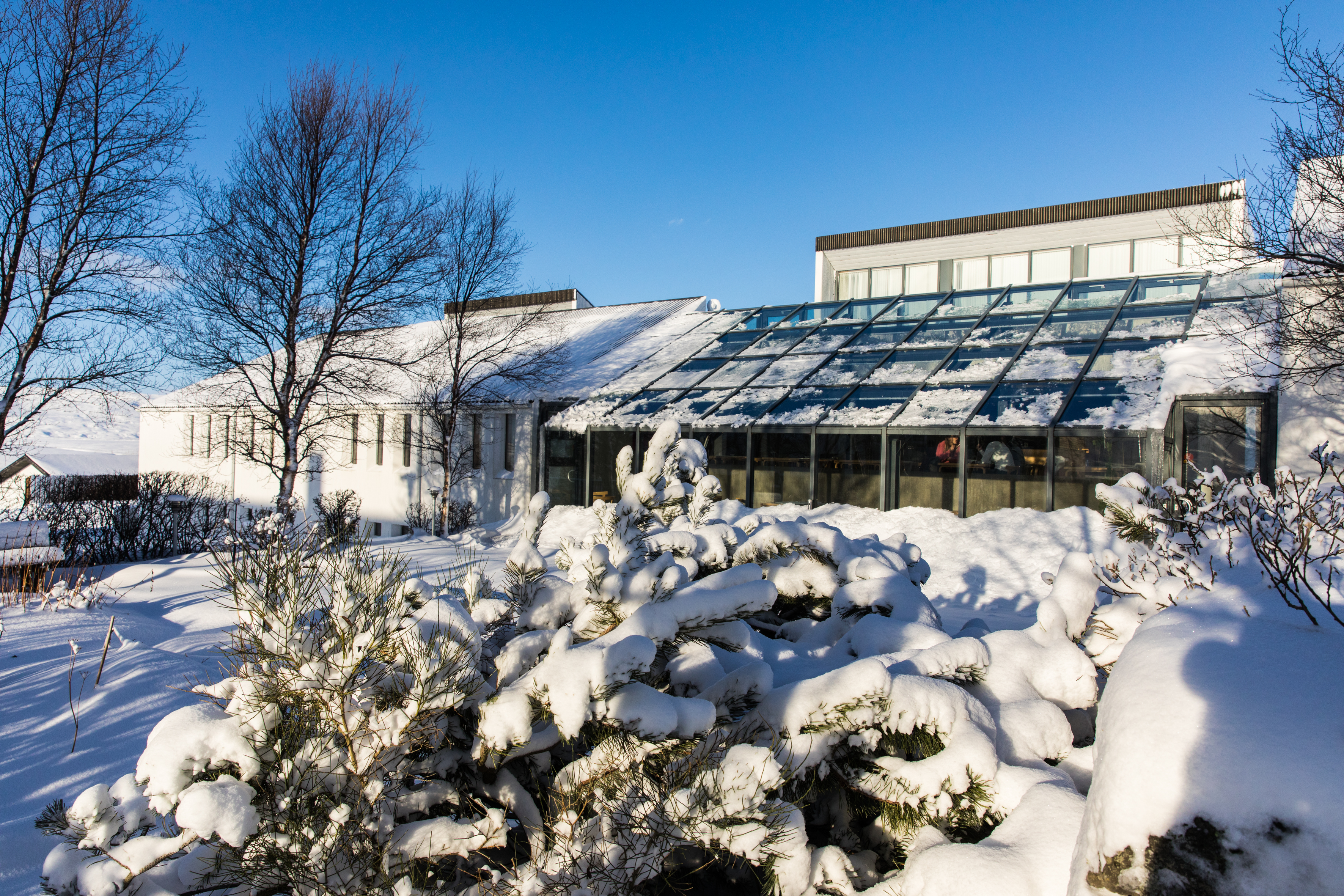 Skálholtsskóli og jurtagarðurinn