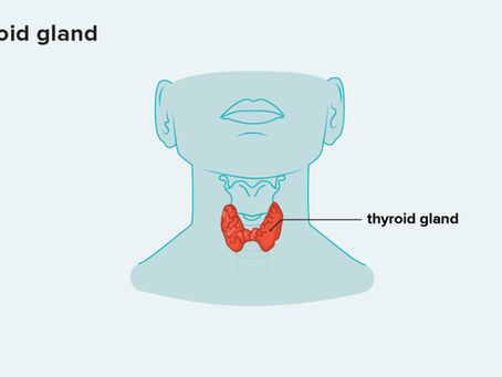 Iodine-Induced Thyroid Dysfunction Explained: Causes, Risks & Insights
