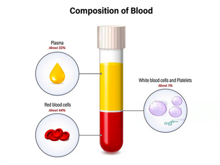 Blood – What We Need to Know
