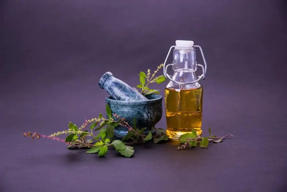Tulsi oil