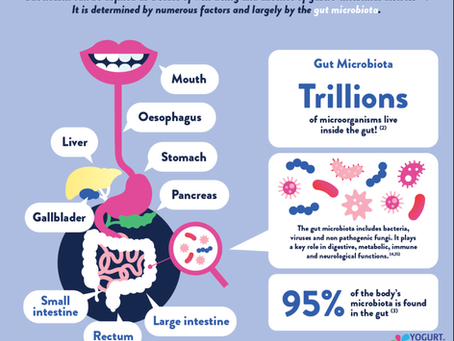 Gut Dysbiosis – What We Need to Know