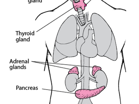 Female Reproductive System: Hormones, Health and What Can Be Done (Part 1)