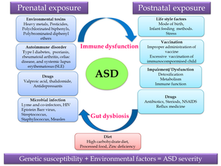 Hormones in Autism Spectrum Disorder & the Role of Essential Oils