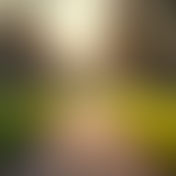 Mastering Mindfulness: Unseen Practices that Transform Busy Professionals into Focused Leaders