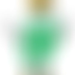 Entrevista multicultural en Radio Leofante