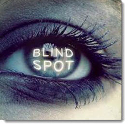 PERSONAL "BLIND SPOTS"