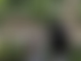 Perlukah Mengajak Anak ke Kebun Binatang? Ini Alasannya