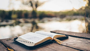 Why I Choose to believe the Bible. Do Testimonies Matter?