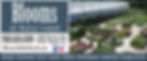 10-25 Blooms Web Ad - Standard