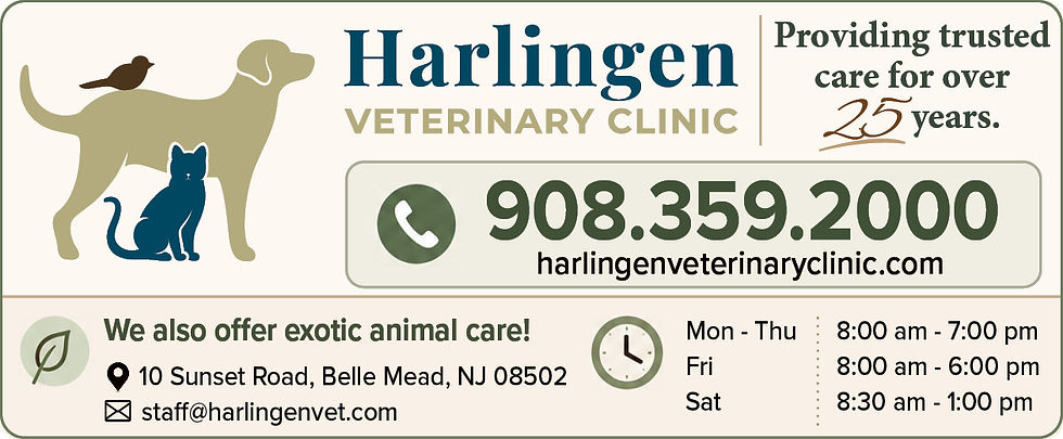 10-26 Harlingen Vet web ad - standard
