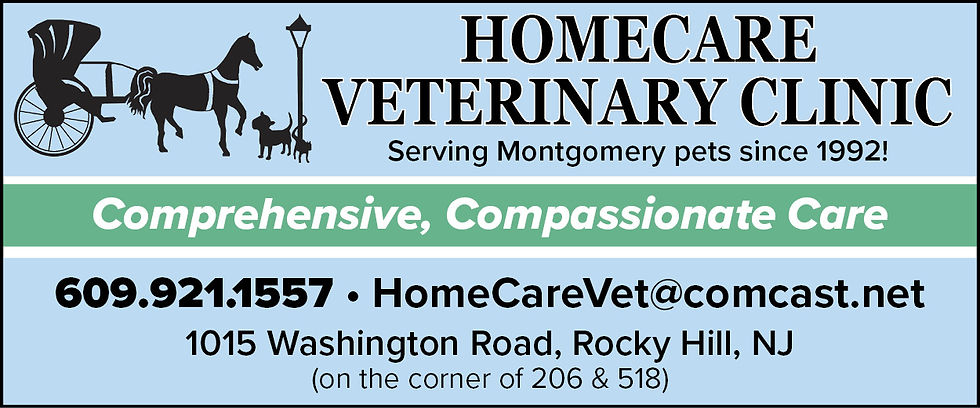 04-26 HomeCare Vet web ad - standard