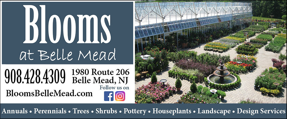 06-26 Blooms Web Ad - Standard