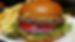 burger with fries