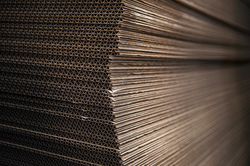 AdobeStock_240470423.jpeg