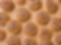 02C5F287-5D4C-4FBD-AFD4-C86CD10AE823.PNG