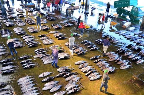 tune fish market.jpg