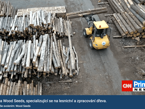 CNN PRIMA NEWS – The future of all of us lies in a healthy forest. How is wood harvested without destroying nature at Wood Seeds?