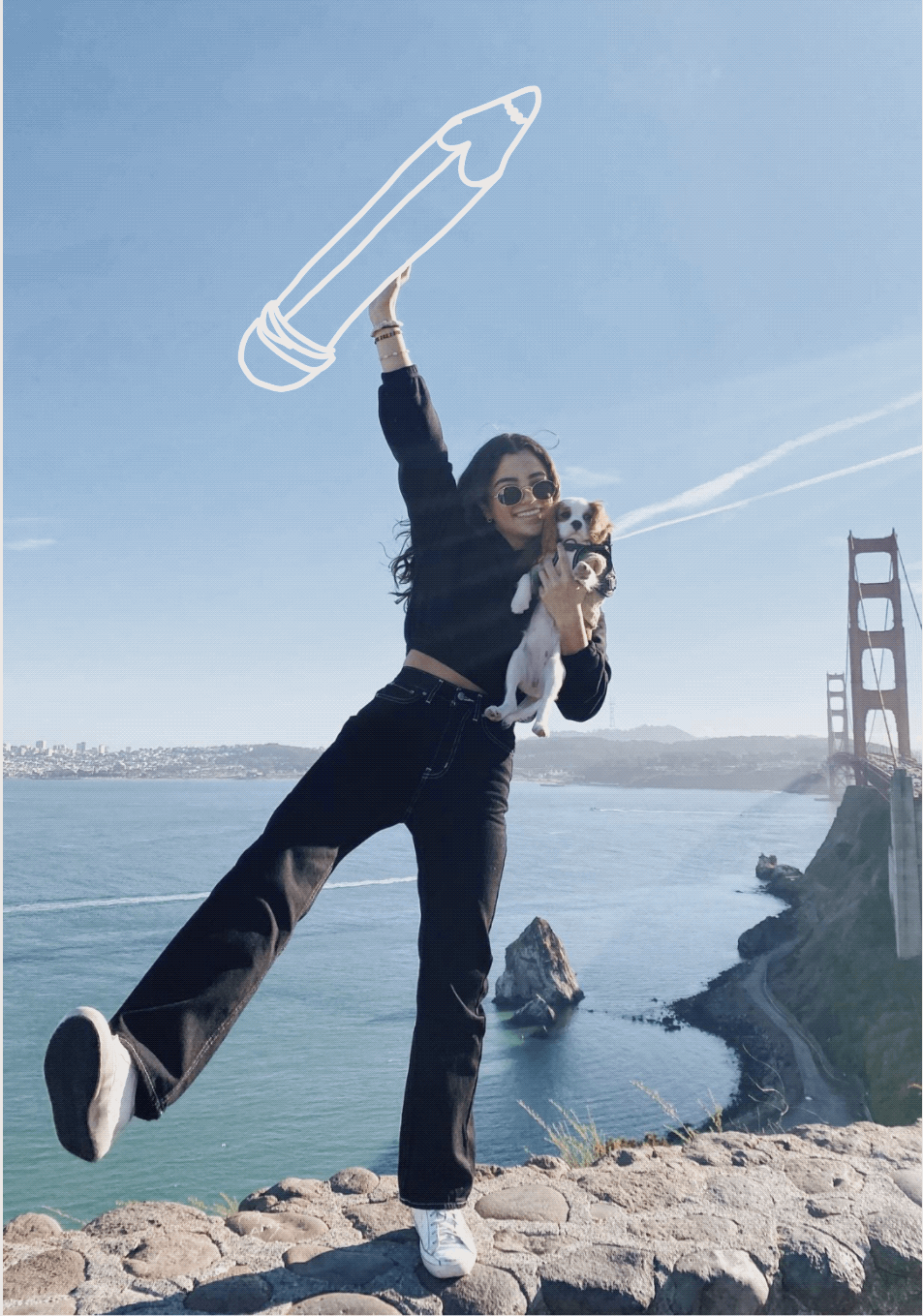 Untitled_Artwork 2.gif