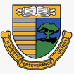 cedar.png