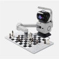 FunDay - Robot Chess.jpg