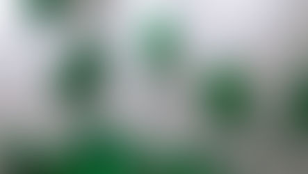 Arco vital y artes vivas en ARCO. Primera parte