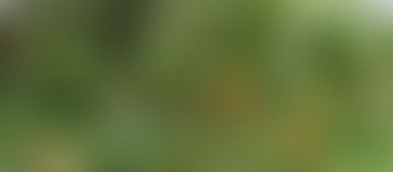 El huerto como manifiesto