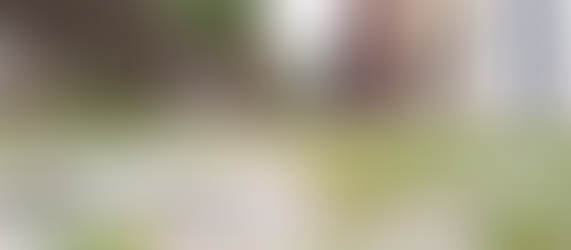 El arte de cultivar el afecto