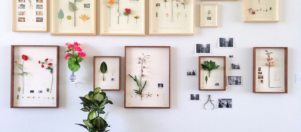 Monstruos, a través de un concepto. Ejercicios de deriva.