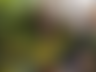 How to Choose the Right Gardening Service in London for Your Home