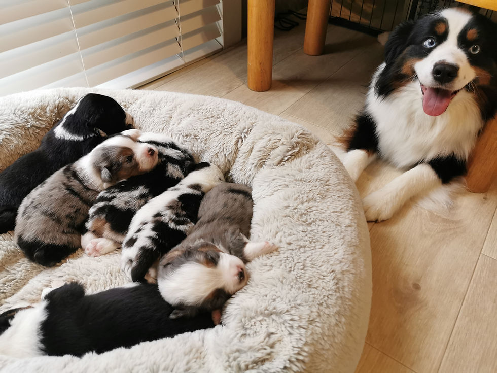 生後3週を迎えました!