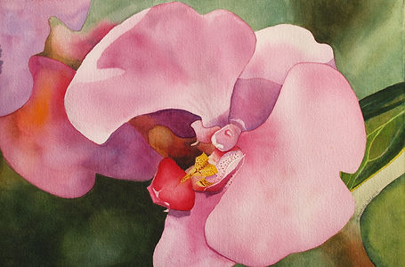 Orchid.jpg