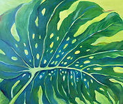 C. Blickenstaff Monstera.jpeg