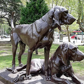 Perros-perdiceros4