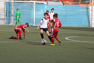 IMG_5425.JPG