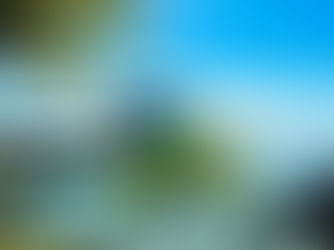 Tourist Of The Caribbean. Day 13/14: Welcome To The Jungle