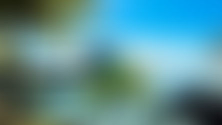 Tourist Of The Caribbean. Day 13/14: Welcome To The Jungle