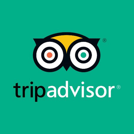 RIU Tikida Palmeraie TripAdvisor Review