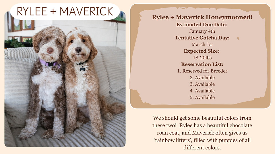 Blue Pink Hospital Doctor Flat Design Illustration Cartoon World Health Day Facebook Post 