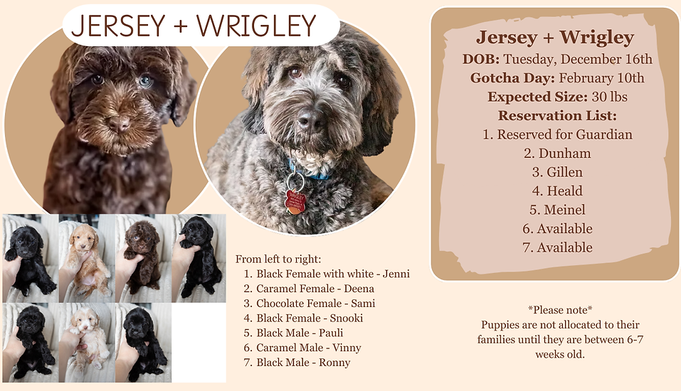 Blue Pink Hospital Doctor Flat Design Illustration Cartoon World Health Day Facebook Post 