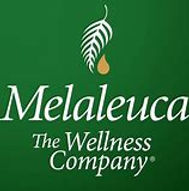 melaluca.jpg