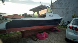 IMAG0368